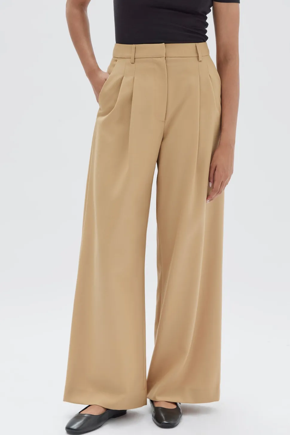 ASSEMBLY LABEL 'Roberta Wool Pant' - Tan Shop