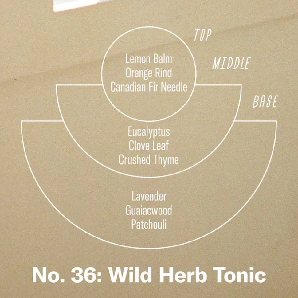 P.F. Candle Co. No. 36 Wild Herb Tonic - Reed Diffusers Clearance