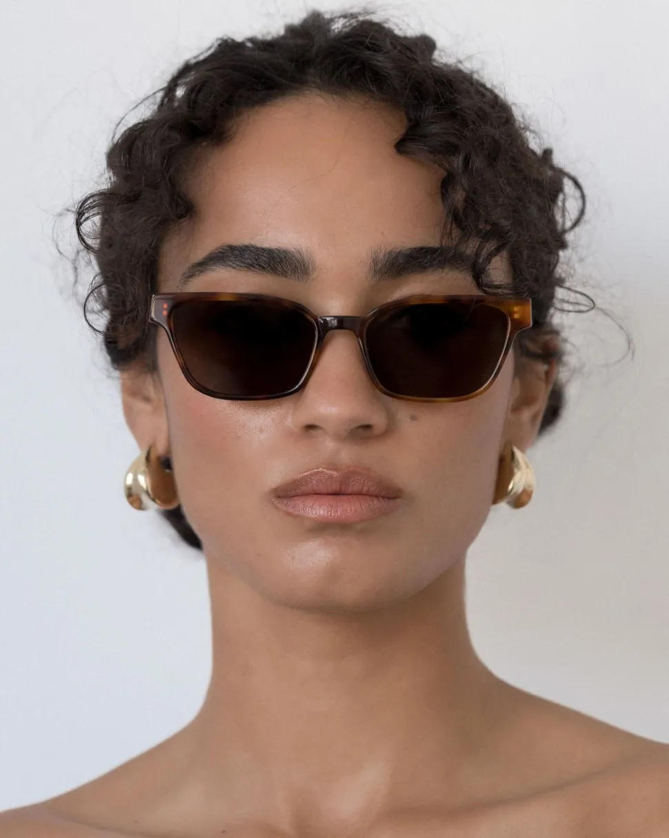 Velvet Canyon 'The Visionary' Sunglasses - Havana Fonce Discount